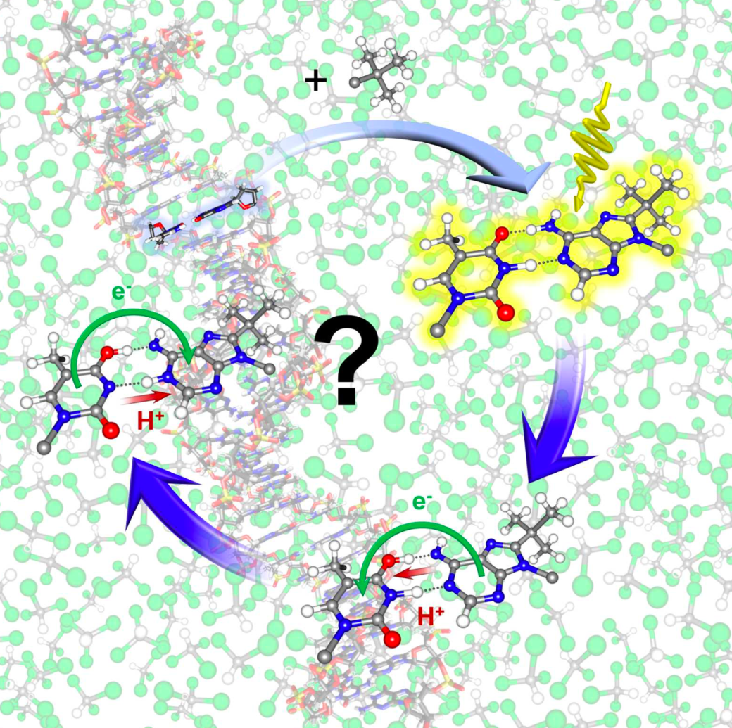 screen-shot-2017-01-26-at-19-40-23