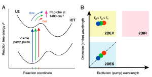 Extreme Cross-peak 2D spectroscopy