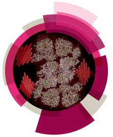 V18_CO_FD - UPE_web_Banners_300x300